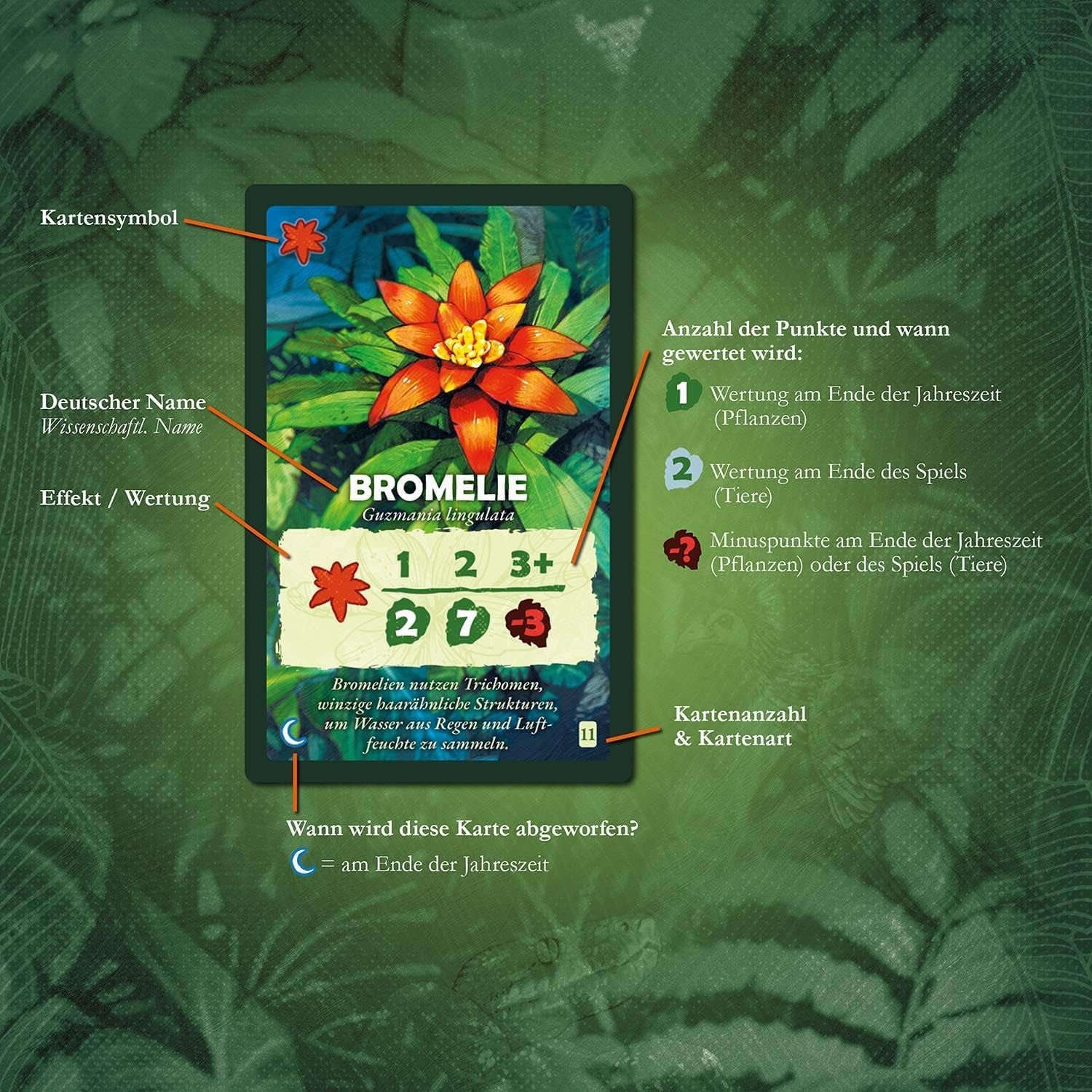 Kosmos 682194 Treetops, Under the Rainforest Canopy, jeu pour deux joueurs, jeu de société, jeu de société à partir de 10 ans sur la forêt tropicale, les arbres, les plantes et les animaux