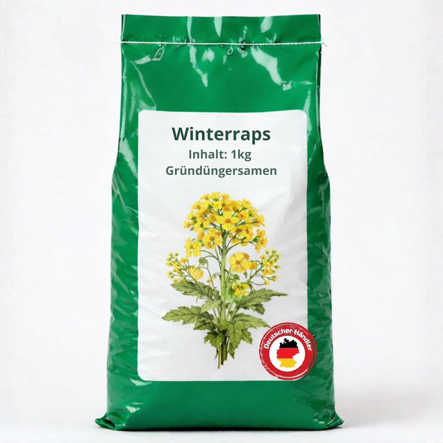 Winterraps 1Kg Gründüngung Bodenkur Bodenlockerung Samenshop24®