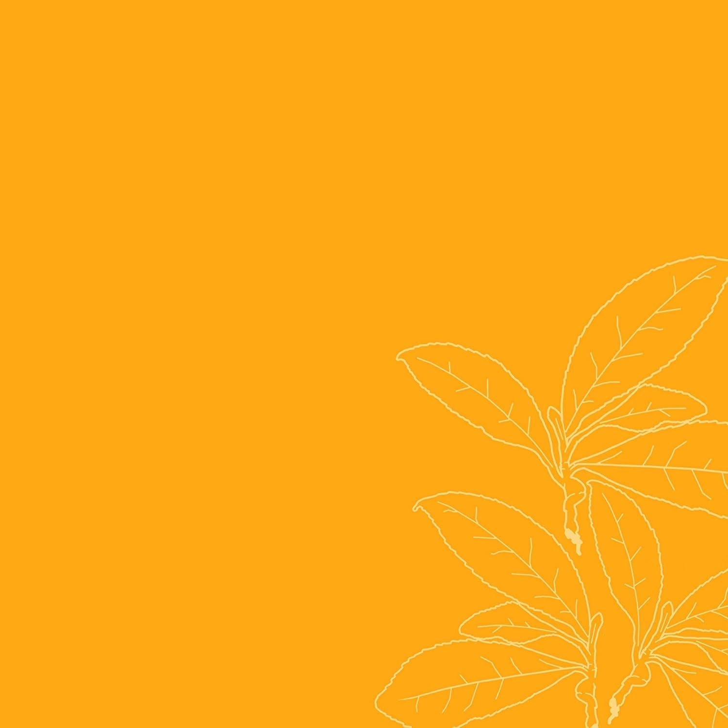 Produit démêlant hydratant en apesanteur Flacon de 237 ml pour cheveux bouclés/ondulés Produits démêlants Naty Shop