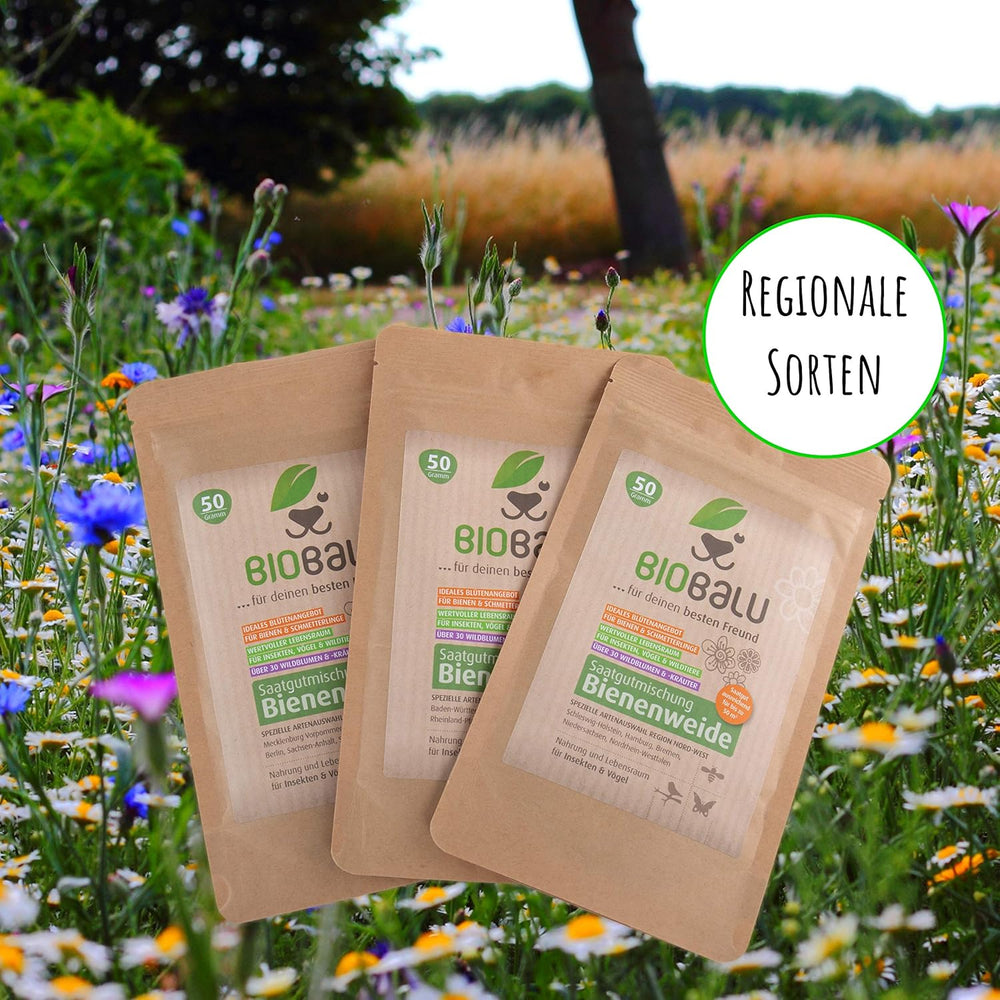 Graines d'abeilles - fleurs sauvages des prés, vivaces et résistantes à l'hiver, graines - plus de 40 fleurs indigènes et herbes sauvages, sélection spéciale d'espèces pour le sud de l'Allemagne, 50g