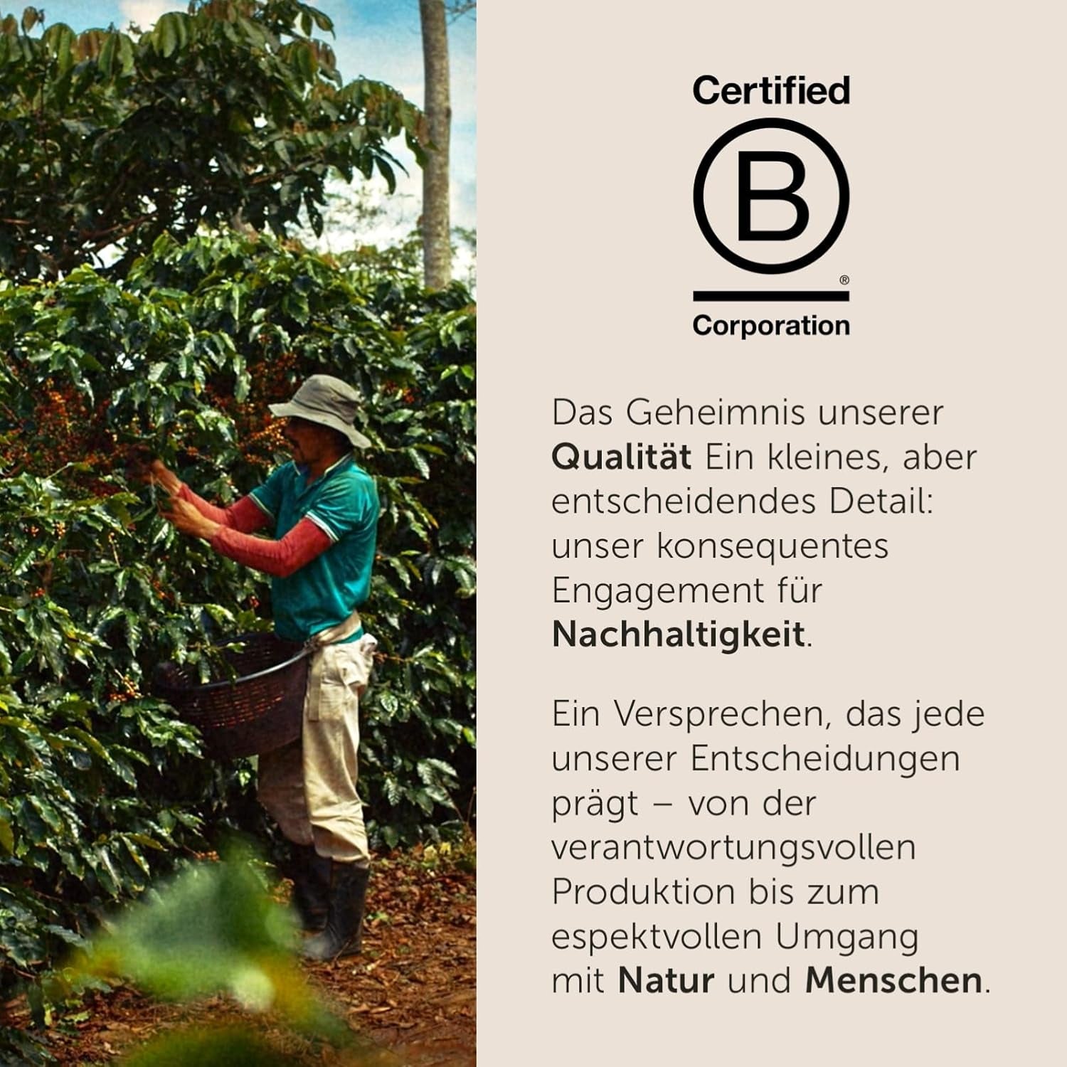 illy, Compatible Aluminium-Kaffeekapseln CLASSICO, 100 % Arabica avec des notes de fleurs d'oranger et de jasmin, goût sucré et arrière-goût sucré, 10 paquets de 10 capsules (100 au total)