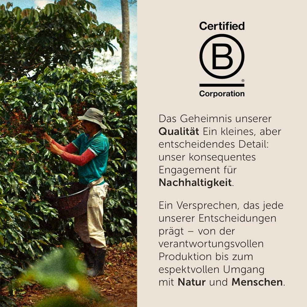 illy, Compatible Aluminium-Kaffeekapseln CLASSICO, 100 % Arabica avec des notes de fleurs d'oranger et de jasmin, goût sucré et arrière-goût sucré, 10 paquets de 10 capsules (100 au total)