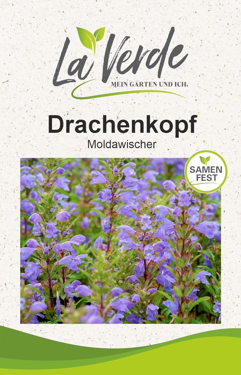 La Verde MON JARDIN ET MOI. Graines de pavot de Californie 'Poppy Orange' pour env. 250 plantes, pavot de Californie, graines à longue floraison, sans OGM