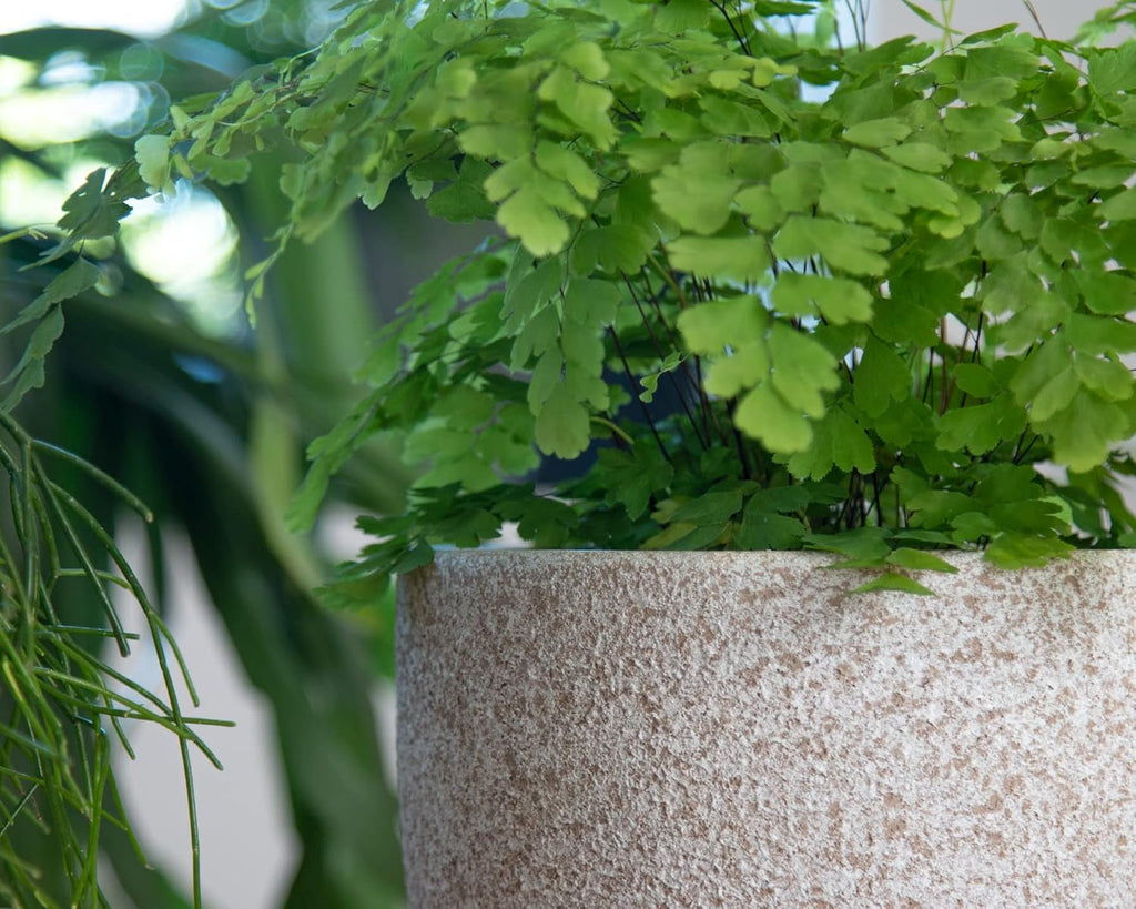 Artevasi Hestia Ghiveci, Ghiveci de flori, Ghiveci decorativ, Textură complexă, Ceramică lucrată manual, Culoare teracotă, 17 cm