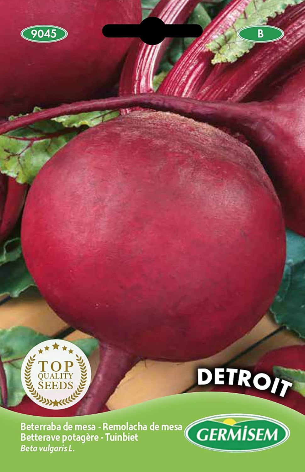 Rode Bete DETROIT