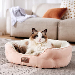 Lits et Canapés, Couvertures et Meubles, Animaux, Chats, Lits pour chats, Chats - lits, matelas