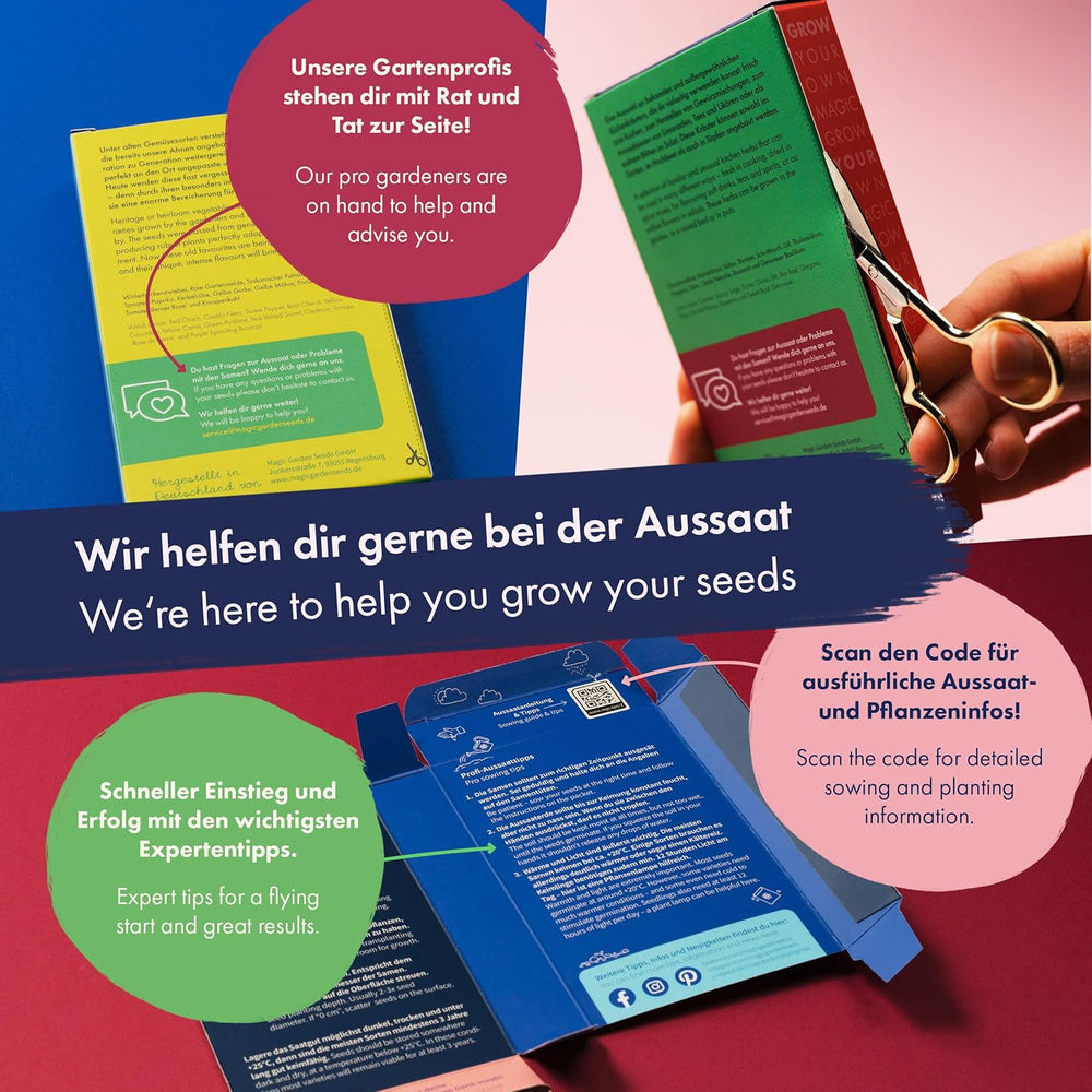 Fleurs séchées - 10 variétés de fleurs pollinisées gratuitement - éternelles et belles - Ensemble de graines pour débutants, comme petit cadeau ou pour un usage personnel