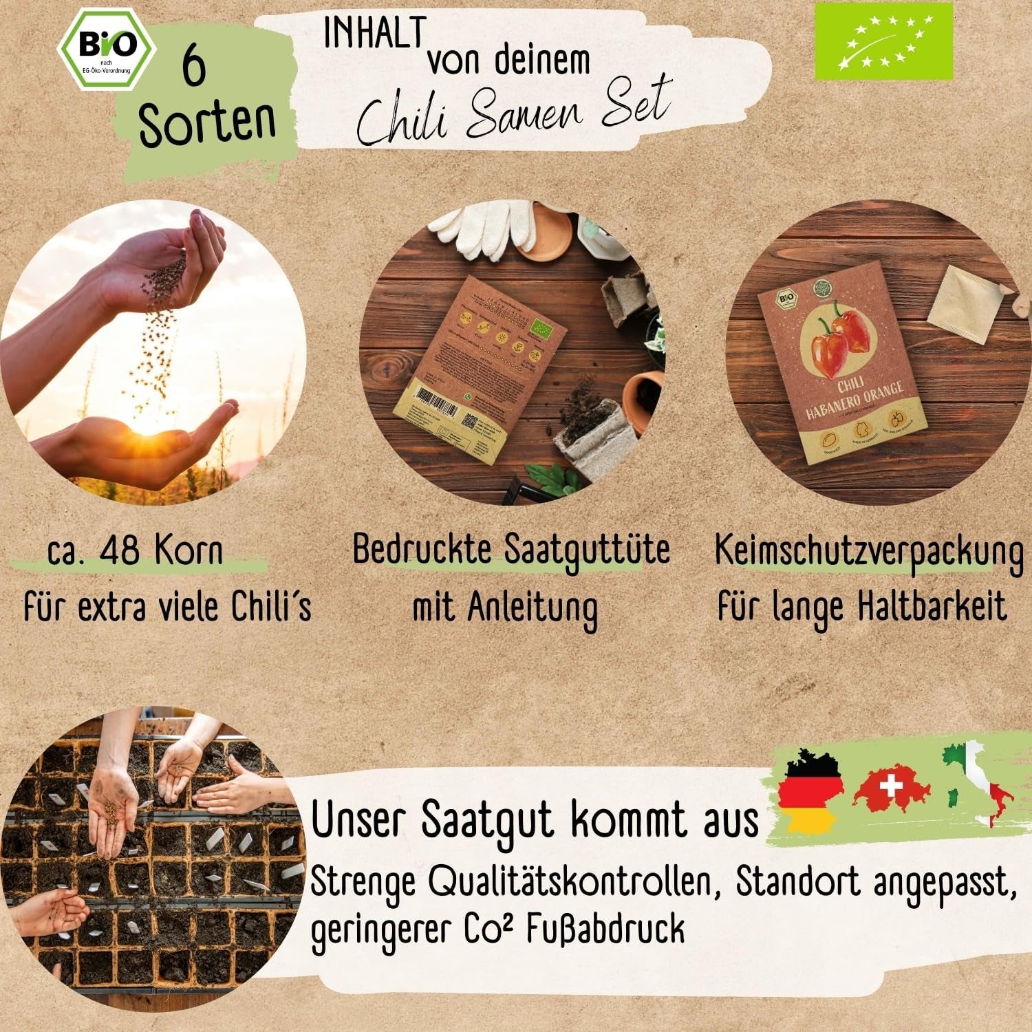 Ensemble de graines de piment biologique – 6 graines de piment biologique, douces à extrêmement épicées, qualité pollinisée librement | du Habanero épicé aux variétés de piments colorées et traditionnelles – Pepperoni Seeds