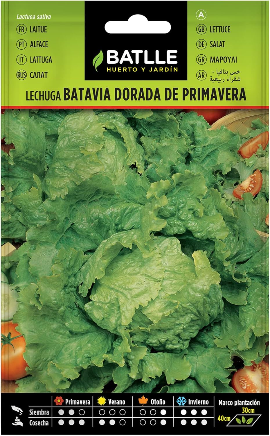 Batlle Gemüsesamen - Frühlings Kopfsalat Dorada De Primavera (6400 Samen)