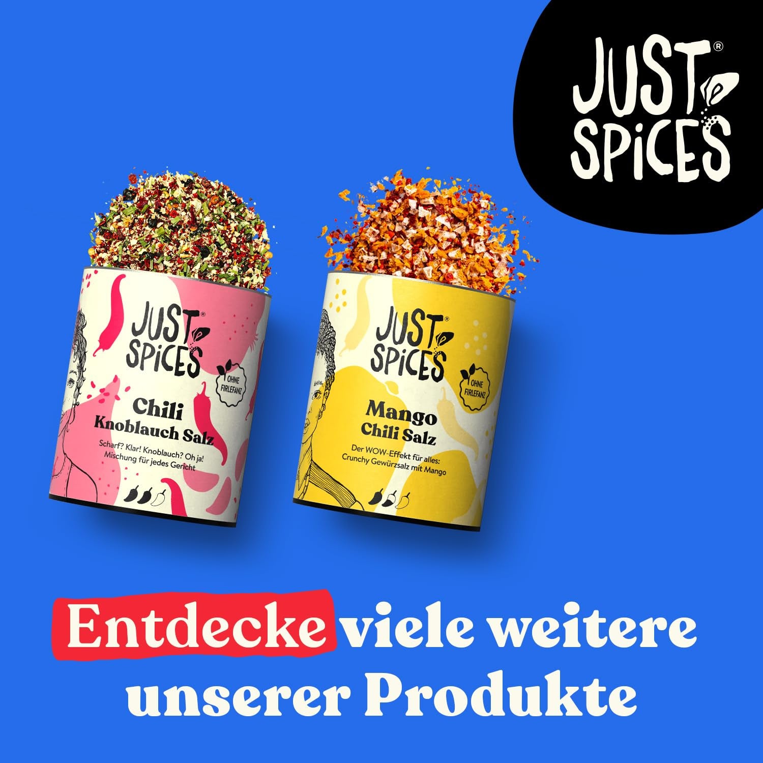 Just Spices Chili Ail Sel I Gewürzmix, der zu allen Gerichten schmeckt I Gewürzdose, 55 g