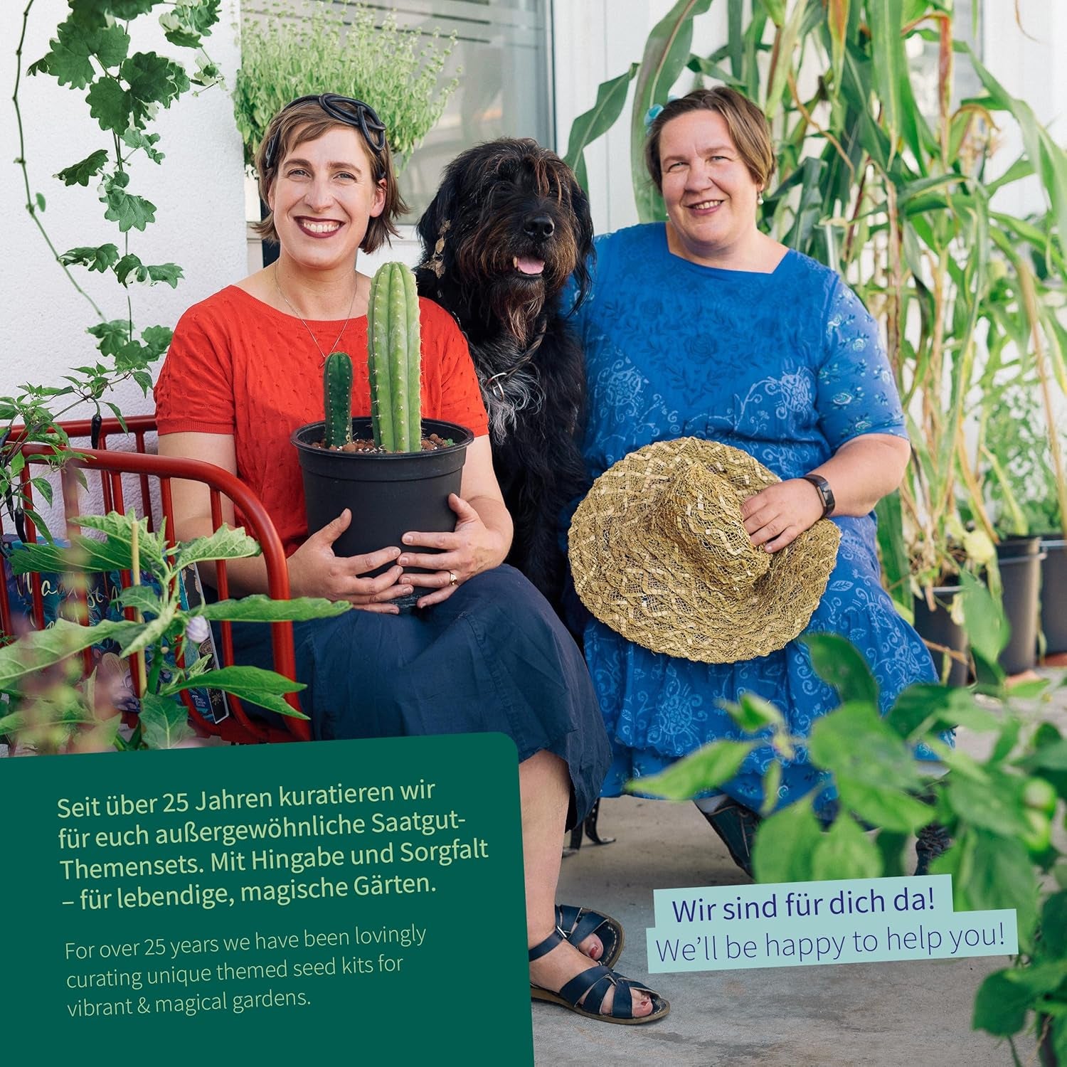 Magic Garden Seeds - Herbes pour chats : herbe à chat, valériane, sauge et herbe à chat - Boîte de graines avec 4 plantes pour jouer, grignoter et se détendre