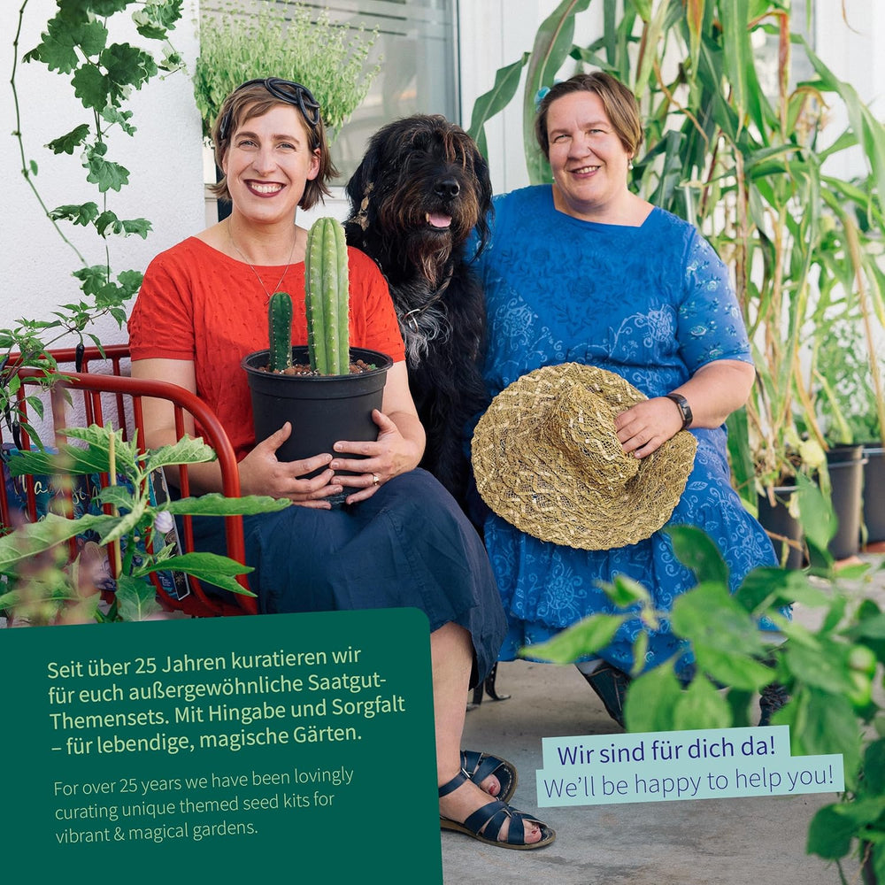 Magic Garden Seeds - Melonen Garten Saatgut-Box Mit 4 Sorten - Wassermelone, Honigmelone & Zuckermelone Für Hochbeet, Topf & Garten - Aromatisch & Süß