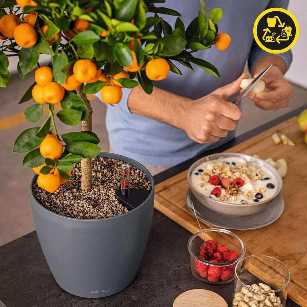 Jardinière LECHUZA Classico Couleur ECO 60 Gris Foncé | Jardinière avec système d'arrosage et indicateur de niveau d'eau | Fabriqué à partir de plastique 100 % recyclé | Finition mate | Ø60 x 55,5 cm | 18955