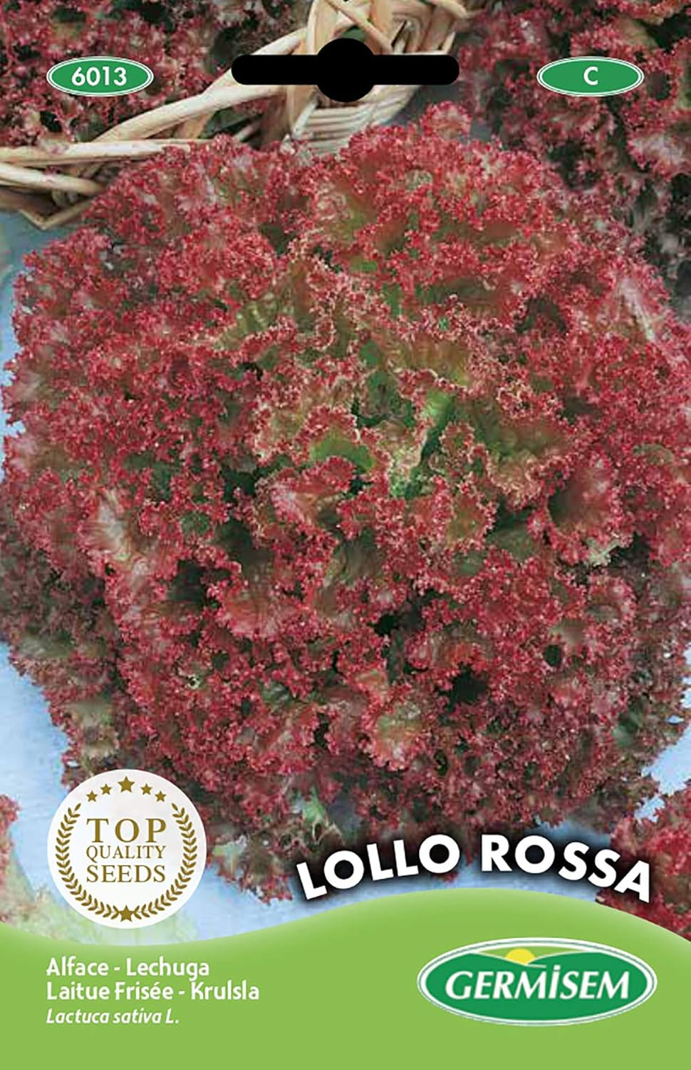 Gartensalat LOLLO ROSSA, Mehrfarbig, EC6013