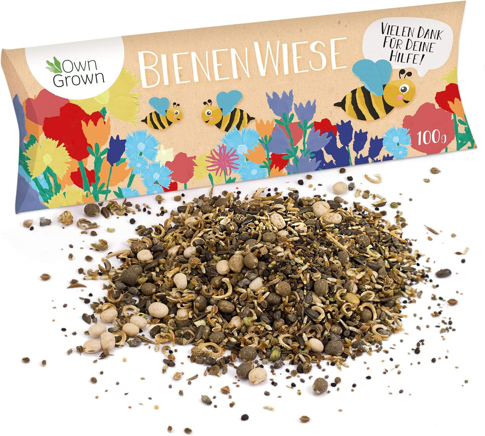 Mélange de fleurs Butterfly Meeting : 100 g de graines de fleurs de papillon de qualité supérieure – Graines d'abeilles respectueuses des insectes, graines de fleurs vivaces et annuelles pour les prairies – Graines de fleurs sauvages de OwnGrown