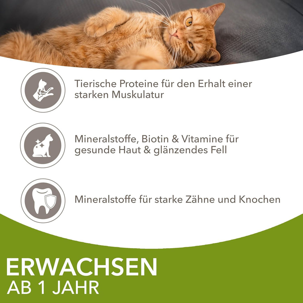 IAMS Delights Land Collection Nourriture humide pour chats - Multipack avec variétés de viandes (agneau, bœuf, poulet et dinde) en sauce, nourriture humide pour chats à partir de 1 an, 12 x 85g