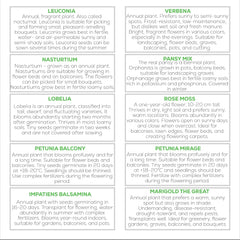 Nojus Lot de graines de fleurs – 10 variétés de graines de fleurs – Graines de fleurs de balcon – Graines de plantes colorées – 10 paquets – Graines de fleurs sauvages – Sachets de graines de fleurs – Cadeau idéal de graines de fleurs