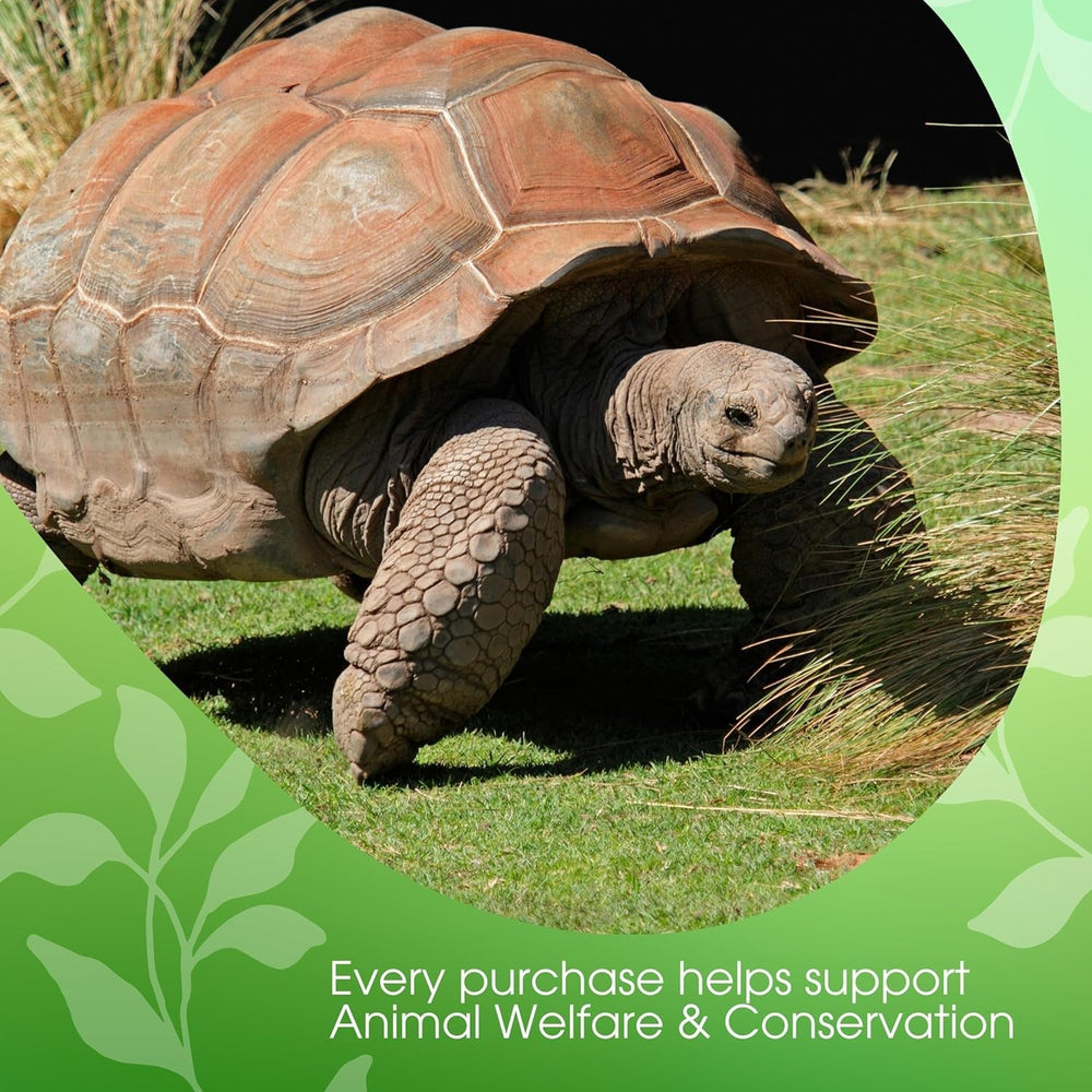 David Rio - Tortoise Green Chai, cutie de carton (1 x 398 g)