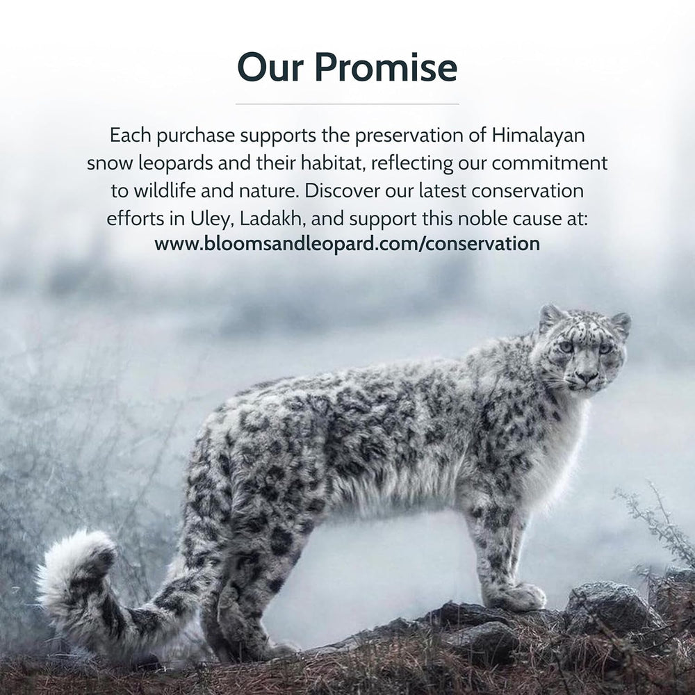 Blooms &amp; Leopard Premium Green Tea Bags – Amestec Berry Borealis cu hibiscus, afine, căpșuni și mentă verde – 20 pliculețe de ceai piramidale pentru ceai cald sau rece