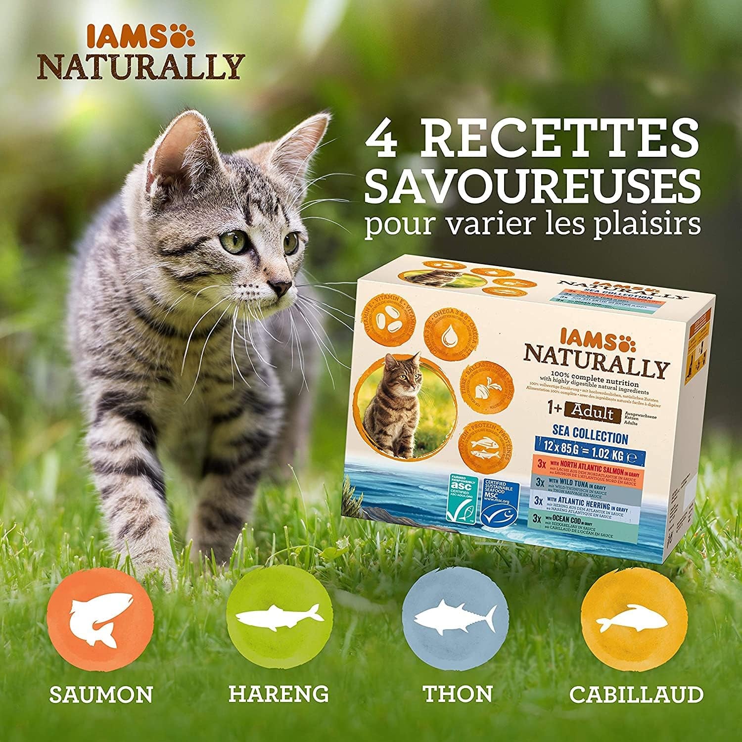 IAMS Nourriture humide naturelle pour chat en sauce – Nourriture humide de haute qualité au poisson pour chat adulte, Sea Collection, 12 x 85 g