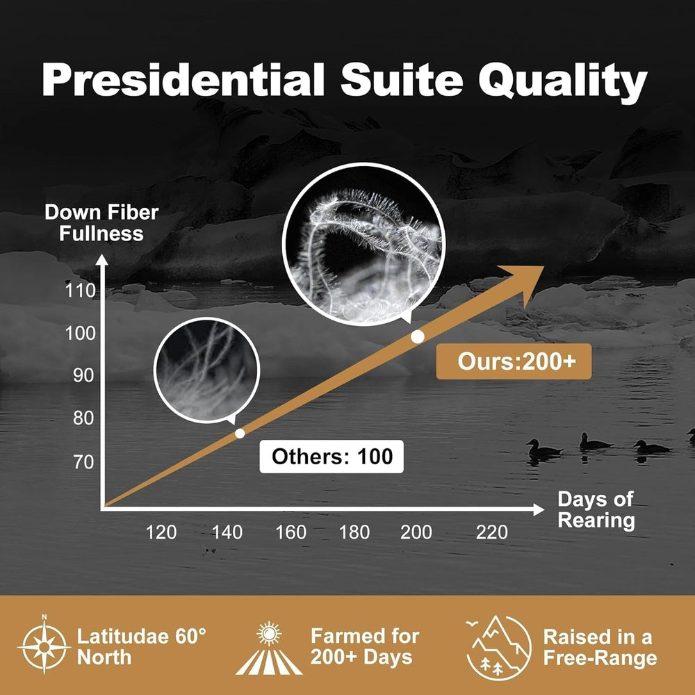 Couette en duvet d'oie Downaero™ pour lits king size, 100 % coton égyptien satiné, pouvoir gonflant de 900, chaleur moyenne, toutes saisons, blanc Naty Shop Couettes et couettes