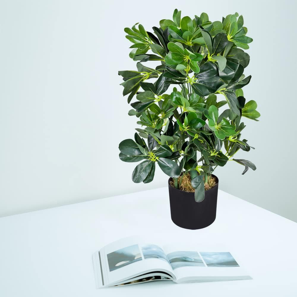 Decovego Schefflera Kunstpflanze, Künstliche Strahlenaralie 60 Cm, Robustes Kunststoffmaterial, Für Innenbereiche, Pflegeleichte Deko