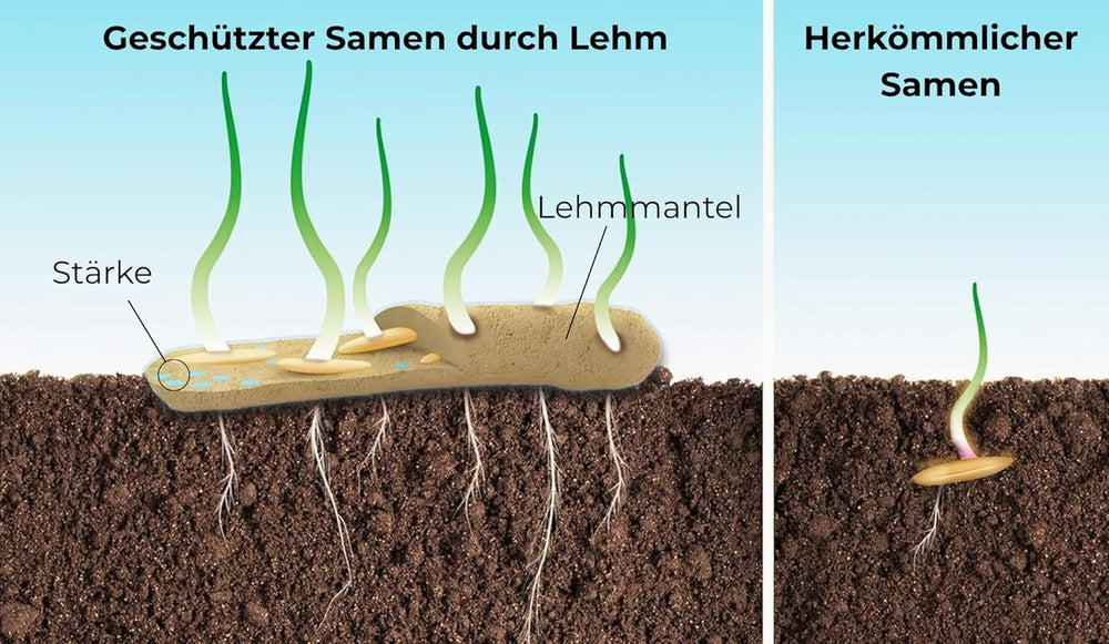 Graines de fleurs enrobées d'argile protectrice pour abeilles et papillons, 400g. Plantes vivaces et résistantes à l'hiver, créant un paysage fleuri de 20 m². De belles graines de fleurs sauvages pour un pâturage d’abeilles coloré. Cadeau pour les enfants.