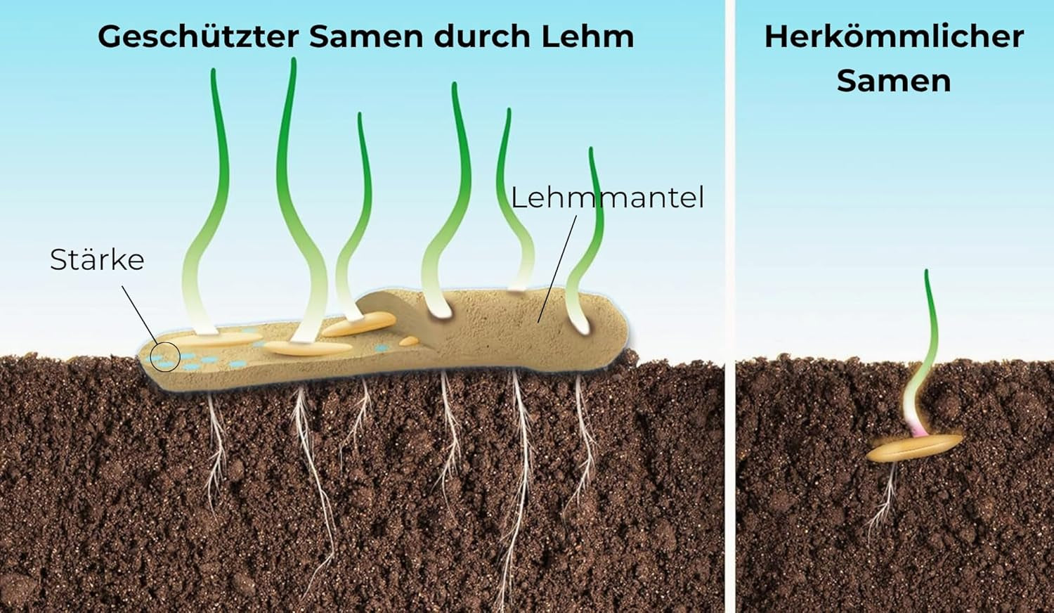 Graines de fleurs enrobées d'argile protectrice pour abeilles et papillons, 400g. Mélange de fleurs sauvages vivaces et résistantes à l'hiver pour 20 m². De belles graines de fleurs sauvages pour un pâturage d’abeilles coloré. Cadeau pour les enfants.