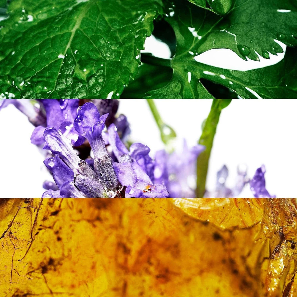 Gel douche DAVIDOFF à l'arôme frais de coriandre, lavande, notes vertes pour homme, 150 ml Douche et bain Naty Shop