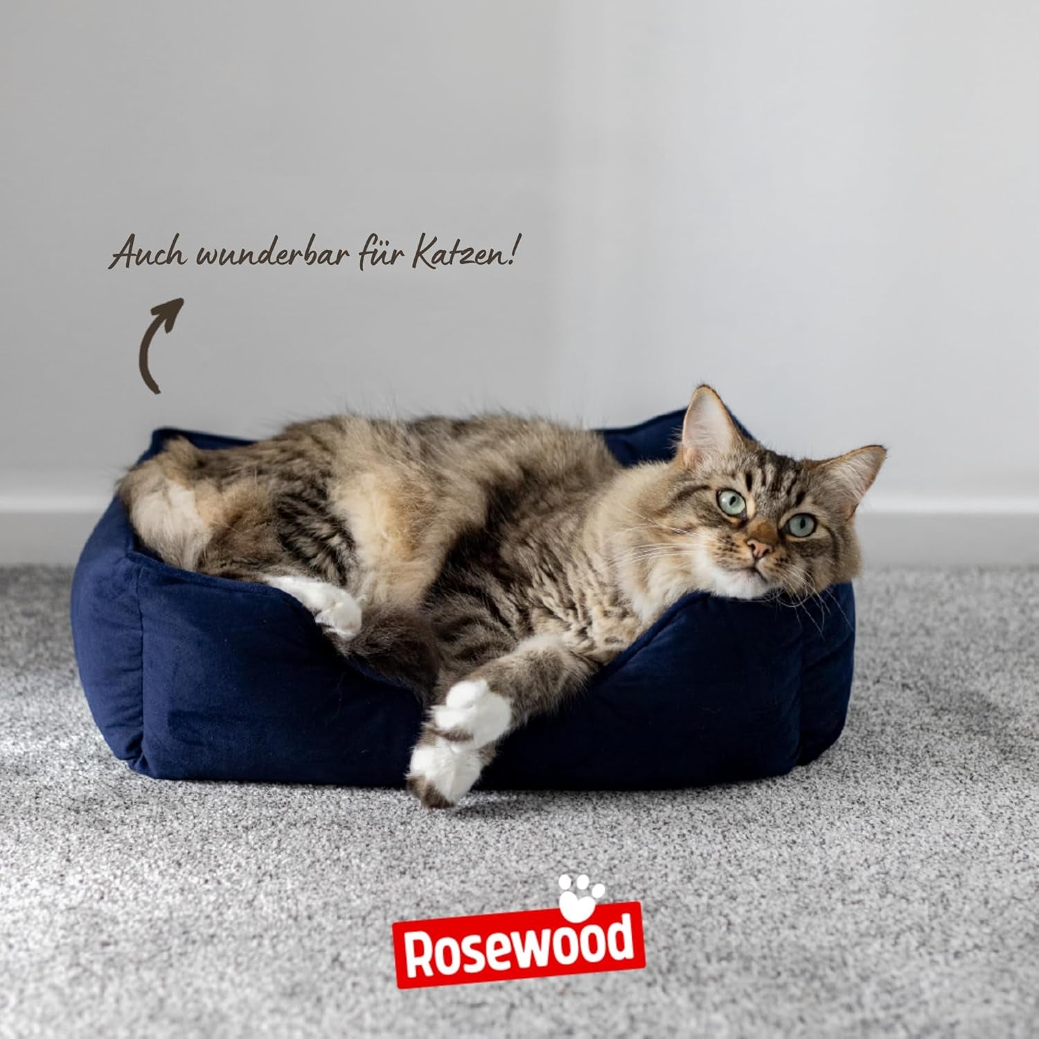 Lits et Canapés, Couvertures et Meubles, Animaux, Chats, Lits pour chats, Chats - lits, matelas