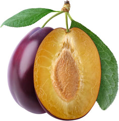 Oberschenkel Pflaumen Von Monaca Von Velletri - Obstpflanze Alte Frucht Auf Blumentopf 20 - Baum Max 170 Cm – 2 Jahre Anbau Italien