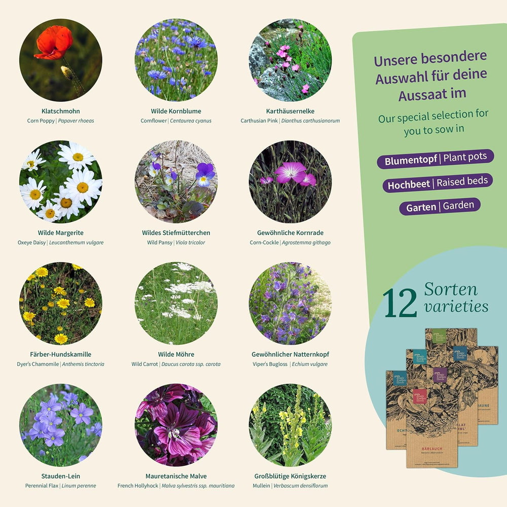 Magic Garden Seeds - Blumenwiese Samen Box Mit 12 Wildblumen - Insektenfreundliche & Pflegeleichte Blumen Für Bienen, Schmetterlinge, Garten & Balkon