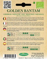 Mais GOLDEN BANTAM, ECBIO5025