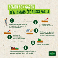 Semences De Gazon 7 Jours - 1 Kg