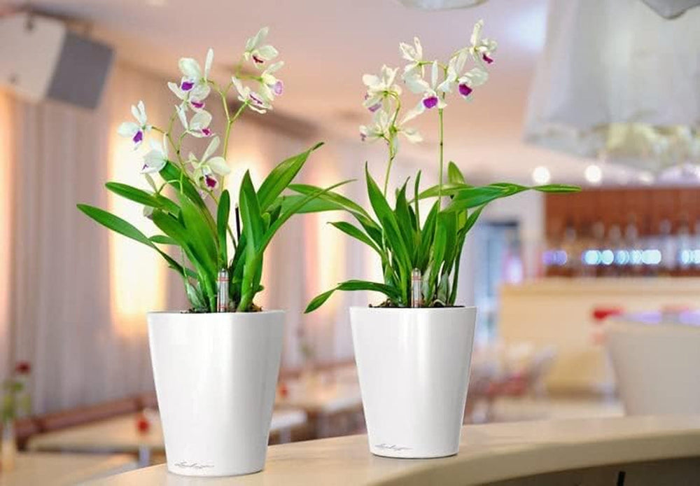 LECHUZA DELTINI blanc brillant 14900