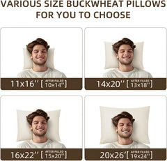 Oreiller de couchage en sarrasin biologique LOFE 14" X 20" Soutien cervical réglable et respirant pour dormir frais pour les dormeurs sur le dos et sur le côté (coques de sarrasin tartare) Naty Shop Oreillers standard