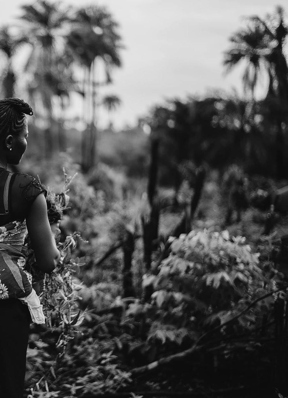 Café de spécialité Boconó Ethiopie 100% Arabica, torréfaction moyenne, 1 kg - Idéal pour le café V60, Chemex, Kalita, etc.