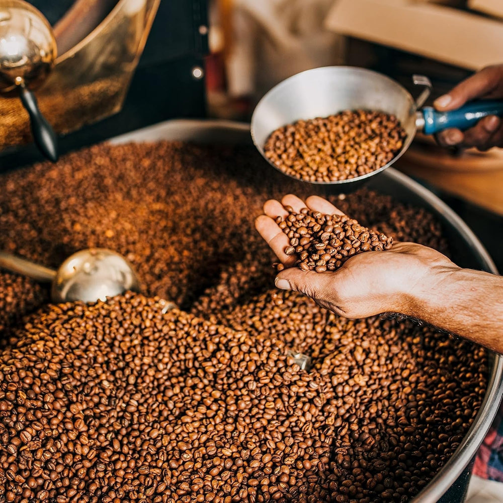 Peters, grains de café Arabica, idéal pour les machines entièrement automatiques Naty Shop Coffee