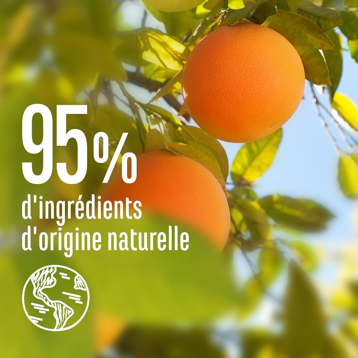 Le Petit Marseillais | Spray démêlant au pamplemousse et au jasmin (flacon 200ml) - soin démêlant sans rinçage - 95% naturels et sans silicone Produits démêlants cheveux Naty Shop