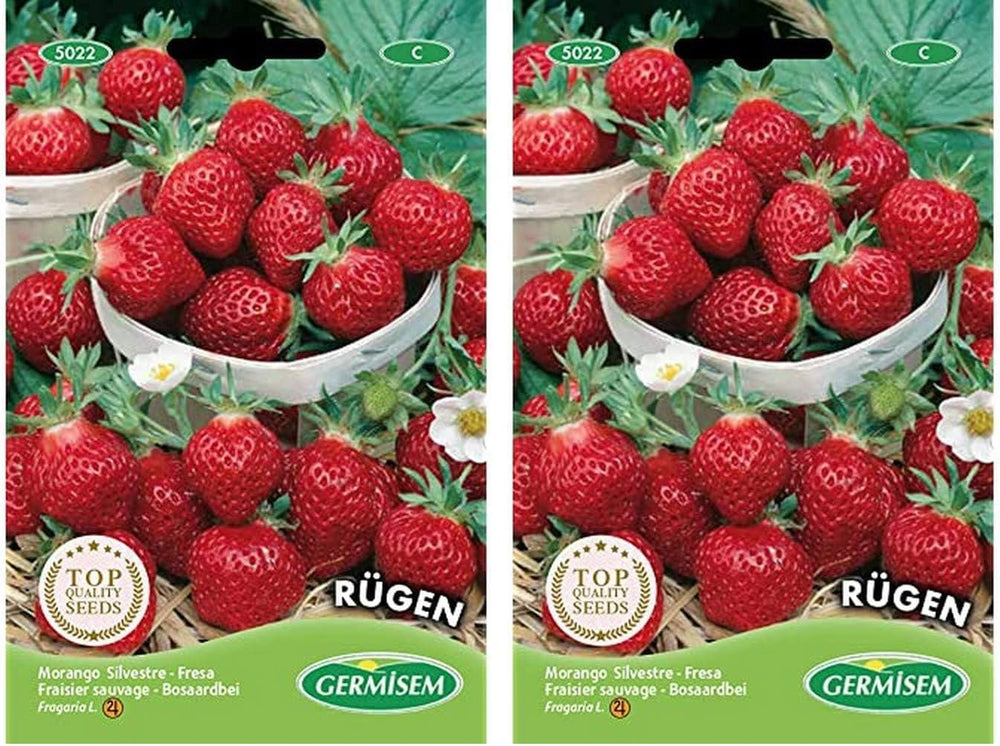 Erdbeere RÜGEN (Packung Mit 2)
