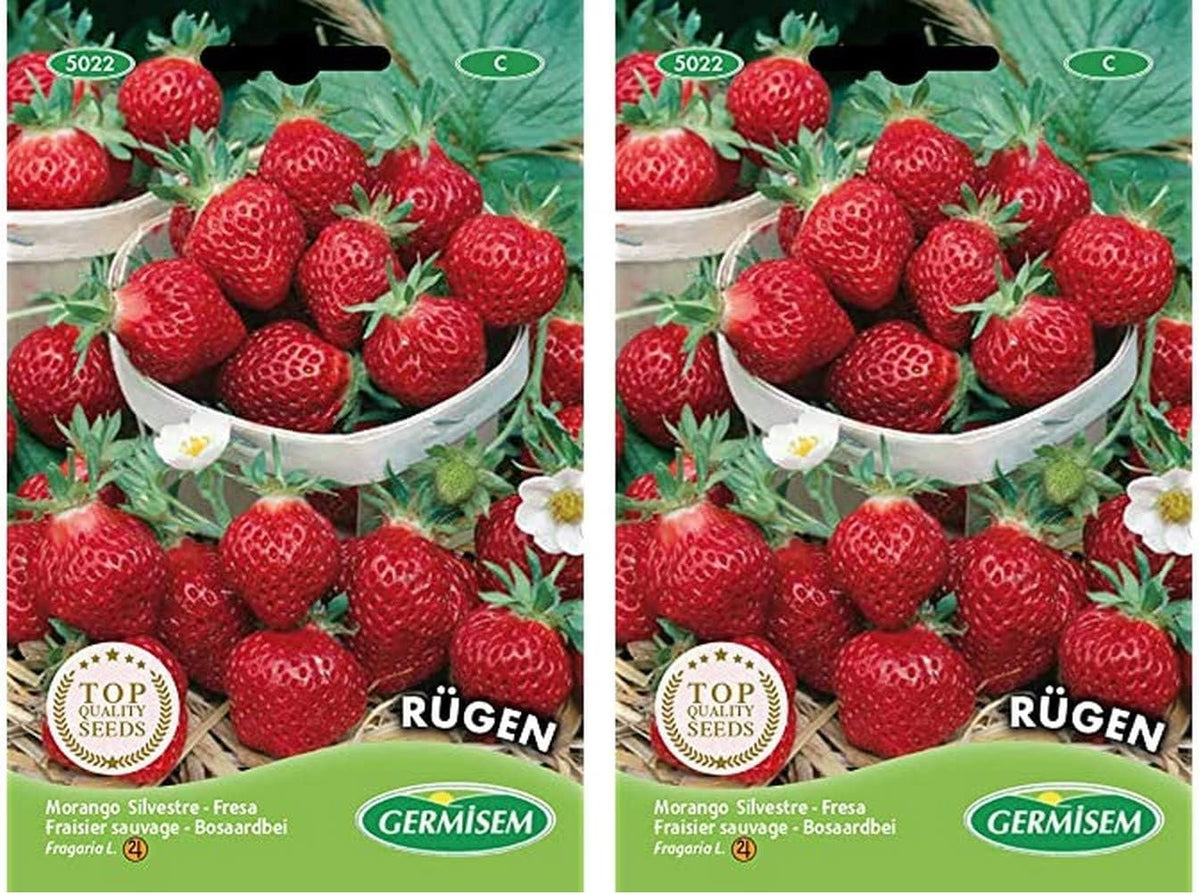 Erdbeere RÜGEN (Packung Mit 2)