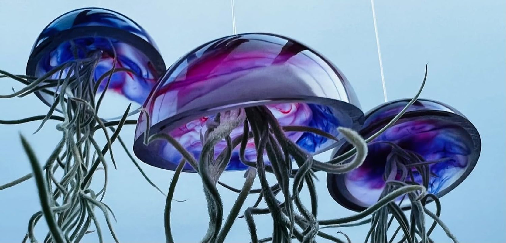 Set Aus Drei Gläsernen Quallen-Luftpflanzen Lila Epoxy Tillandsia Luftpflanzen.