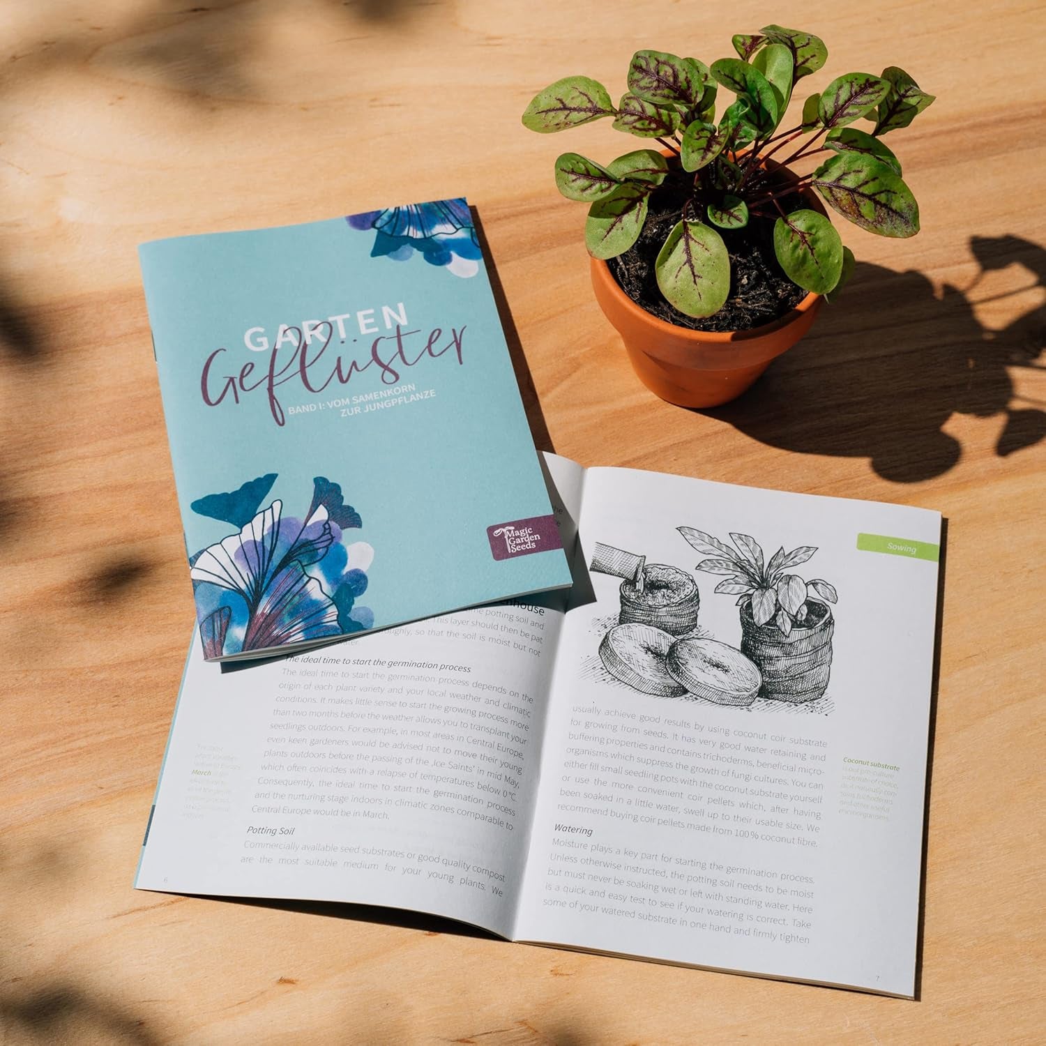 Magic Garden Seeds - Klostergarten-Kräuter Samen Geschenkset - Samen Geschenk Set Mit 11 Heil- Und Küchenkräutern - Ringelblume, Hopfen, Johanniskraut, Lavendel, Kamille, Baldrian Uvm