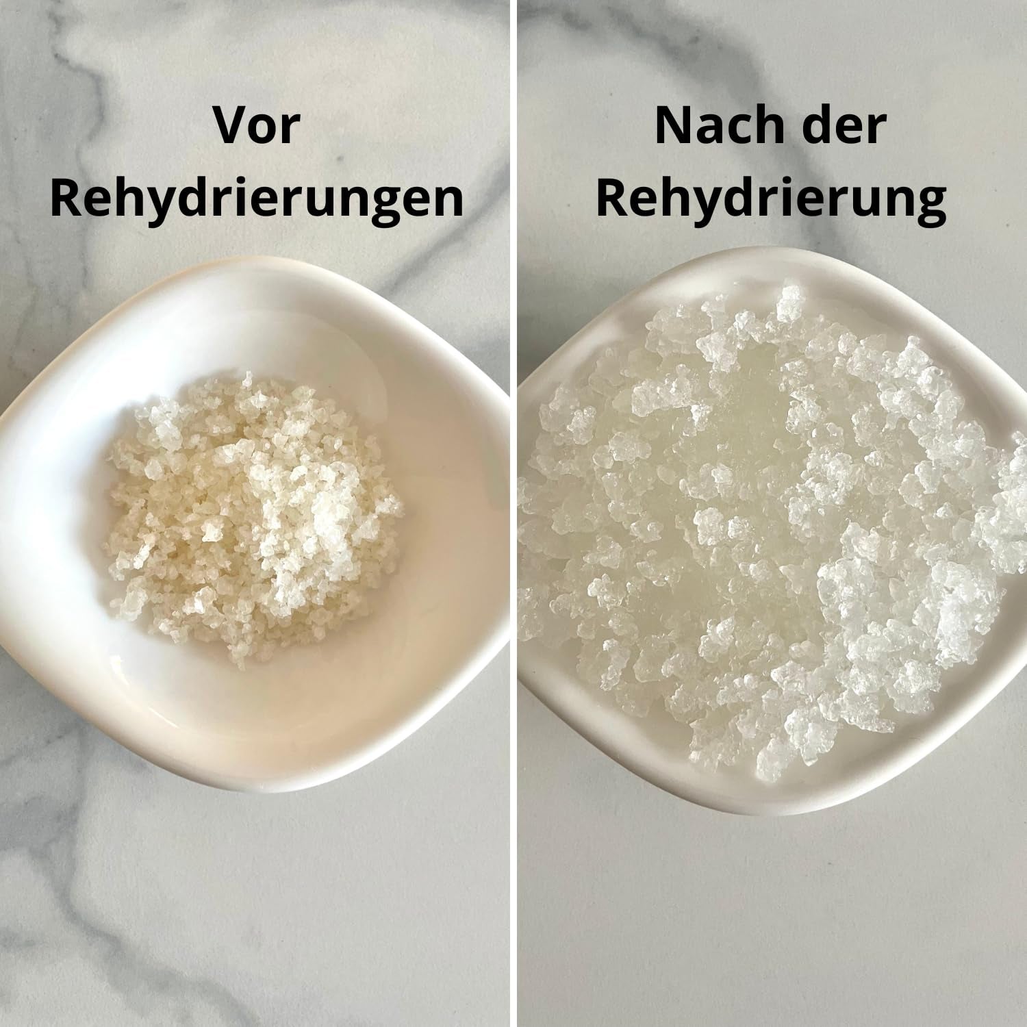 Natural Probio® Wasserkefir, Kefirpilz, Japankristalle, Kefirknollen, Starter Set + Anleitung, Rezept, Tipps, E-Book & Rezeptbibliothek + Kundenservice auf Lebenszeit (10g déshydraté/60g réhydraté)