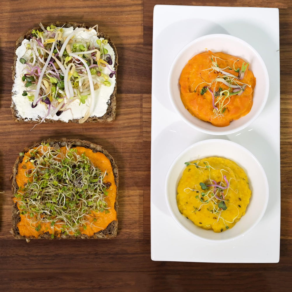 [Coffret de démarrage original avec pot à germer + passoire à cresson | 1000 ml avec support en maille d'acier inoxydable de haute qualité, plateau en céramique + ABC pour la germination [version imprimable] plateau de semis avec pot de germination