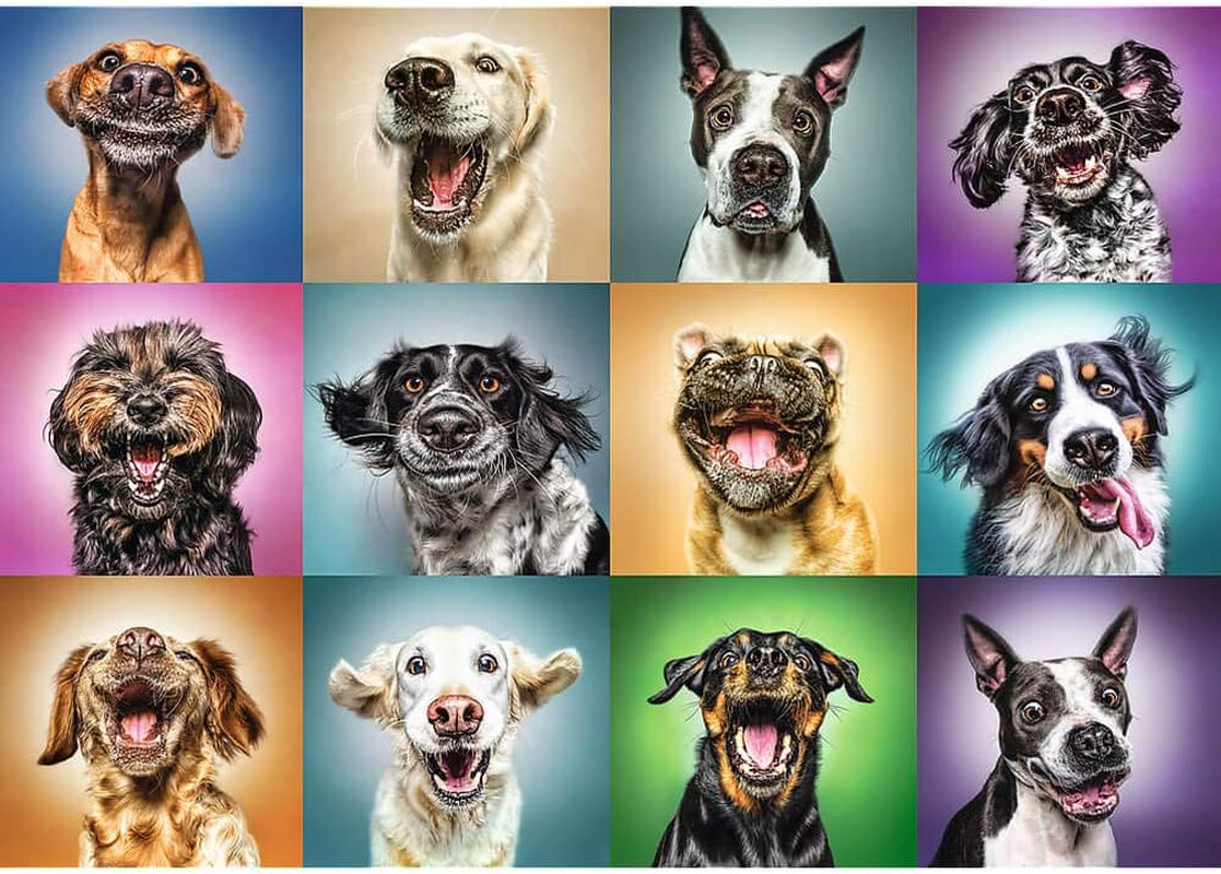 Puzzle "1000" - Portraits de chiens rigolos Puzzle Naty Shop