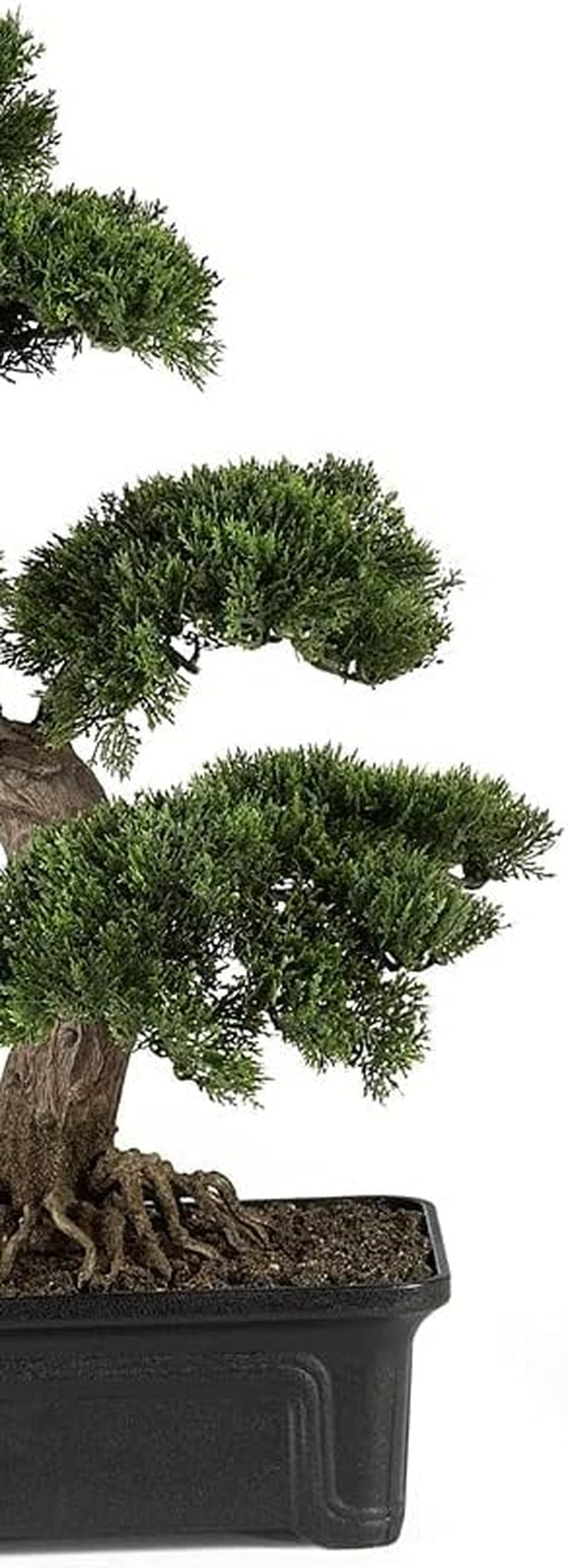 4103 61 Cm Zedern-Bonsai-Seidenpflanze, Grün