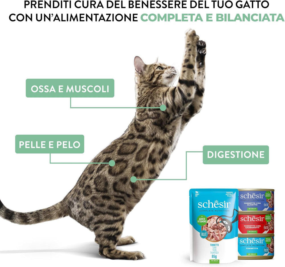 , Thon au poisson bleu en gelée, nourriture humide complète pour chat, en sachet, avec vitamines supplémentaires, 100% naturel, 6 x 85 g