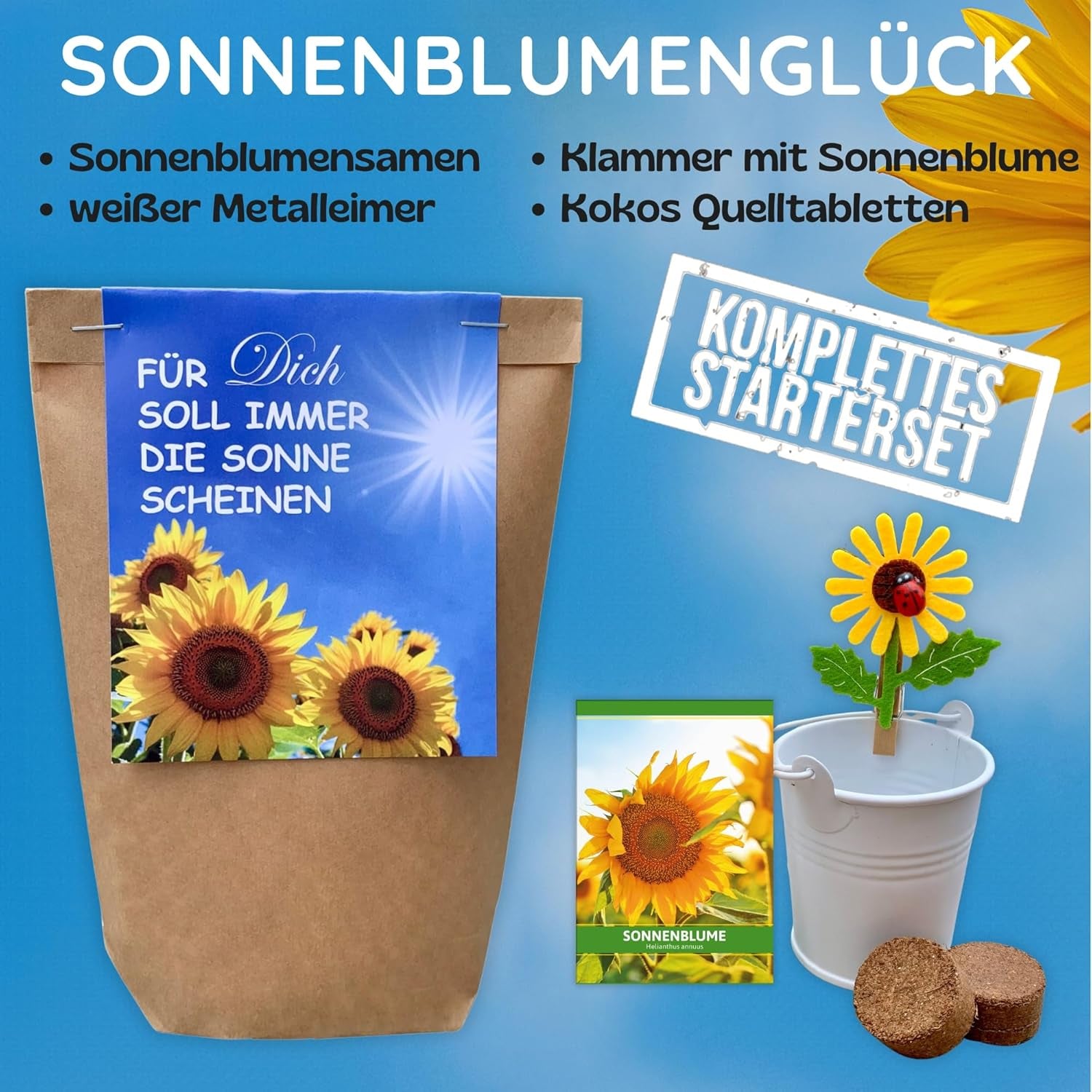 Cadeau pour les femmes - Que le soleil brille toujours pour vous - Kit de culture de tournesol, Sac surprise idée cadeau, Kit de plantation