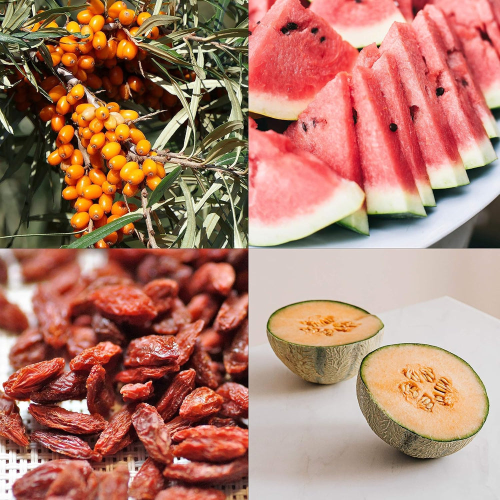 Ensemble de graines de fruits : graines de jardin de qualité supérieure avec 8 variétés de plantes fruitières pour jardin et balcon – graines de pastèque, graines de fraises, groseilles, rhubarbe et plus – Coffret cadeau de graines de fruits de OwnGrown